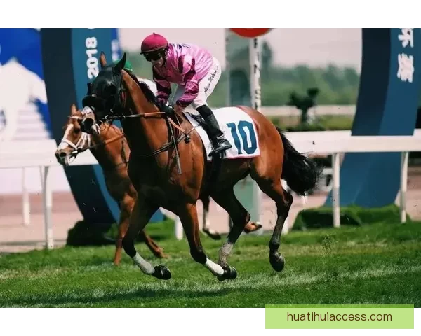 体育竞猜赔率解析与策略研究 提升精准预测与投注回报